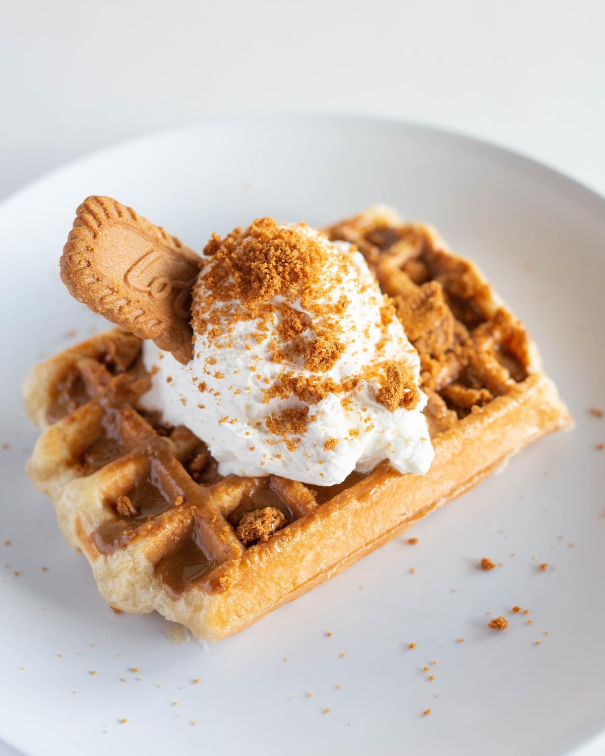 Waffle truck catering plate with whipped cream and speculoos crumble
